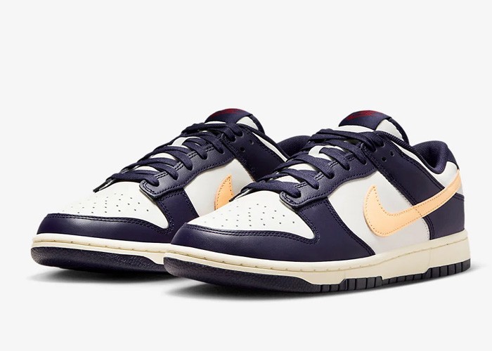 Nike Dunk Low "From Nike To You" - FV8106-181